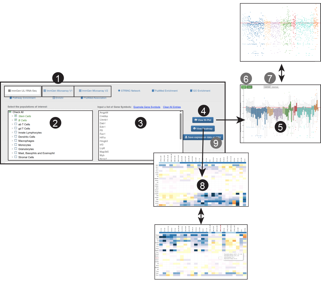image of MyGeneSet page with general tutorial steps